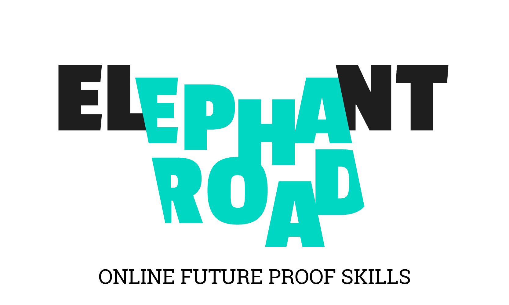 Elephant road
